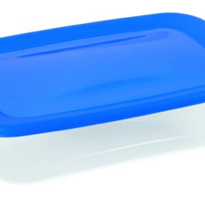 D-FRESH&GO POJEMNIK DO ŻYWNOŚCI 1L