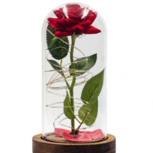 WIECZNA RÓŻA W SZKLE